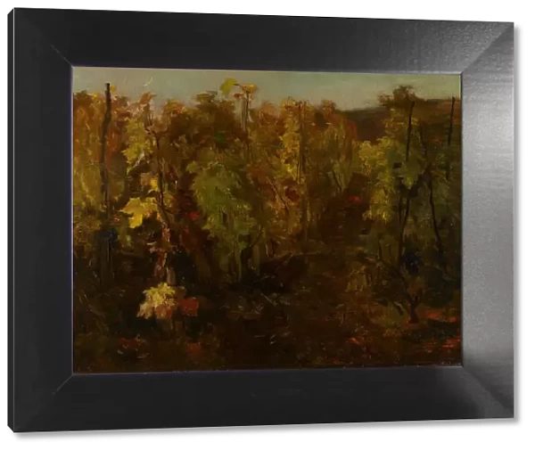 La Vigne [The Vine], 1860-1863. Creator: Charles Francois Daubigny