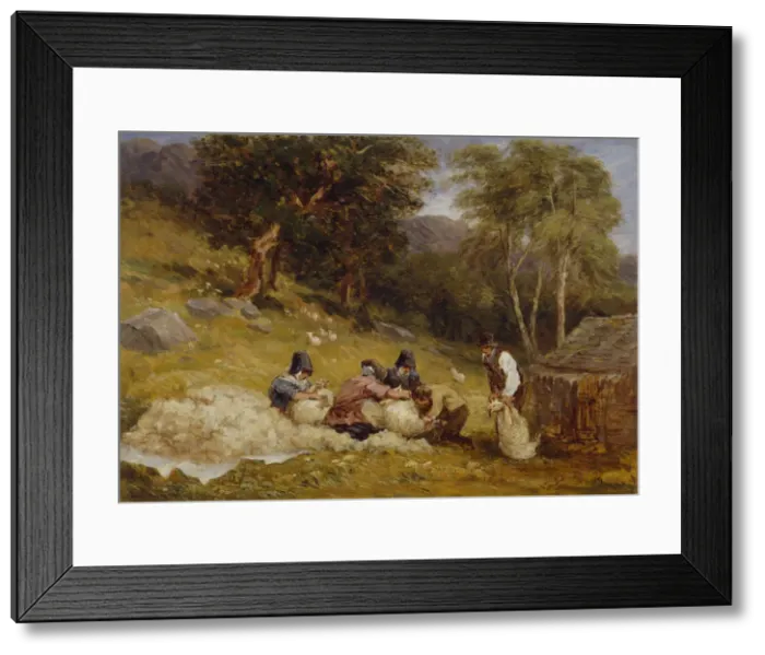 Framed Print : Sheep Shearing, 1849. Creator: David Cox the elder Framed Print : Sheep Shearing, 1849. Creator: David Cox the elder
