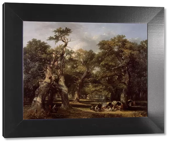 A Forest Glade, Arden, Warwickshire, 1845. Creator: Frederick Henry Henshaw
