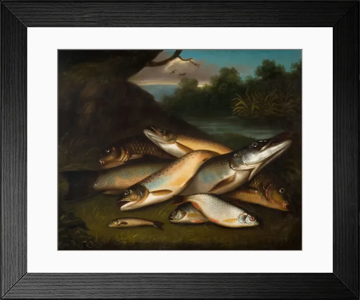 Framed Print : Fish, 1790. Creator: Moses Haughton Framed Print : Fish, 1790. Creator: Moses Haughton