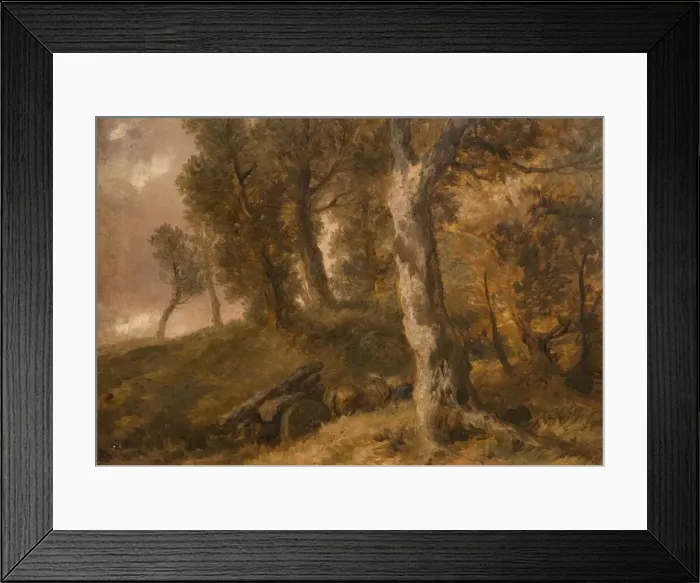 Framed Print : Study of Trees, 1874. Creator: Sir John Gilbert Framed Print : Study of Trees, 1874. Creator: Sir John Gilbert