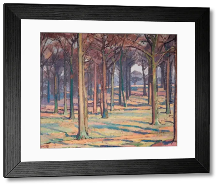 Framed Print : Wood in Richmond Park, 1914. Creator: Spencer Gore Framed Print : Wood in Richmond Park, 1914. Creator: Spencer Gore