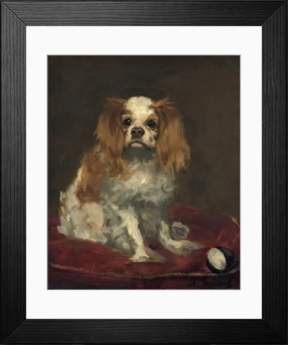 Framed Print : A King Charles Spaniel, c. 1866. Creator: Edouard Manet Framed Print : A King Charles Spaniel, c. 1866. Creator: Edouard Manet