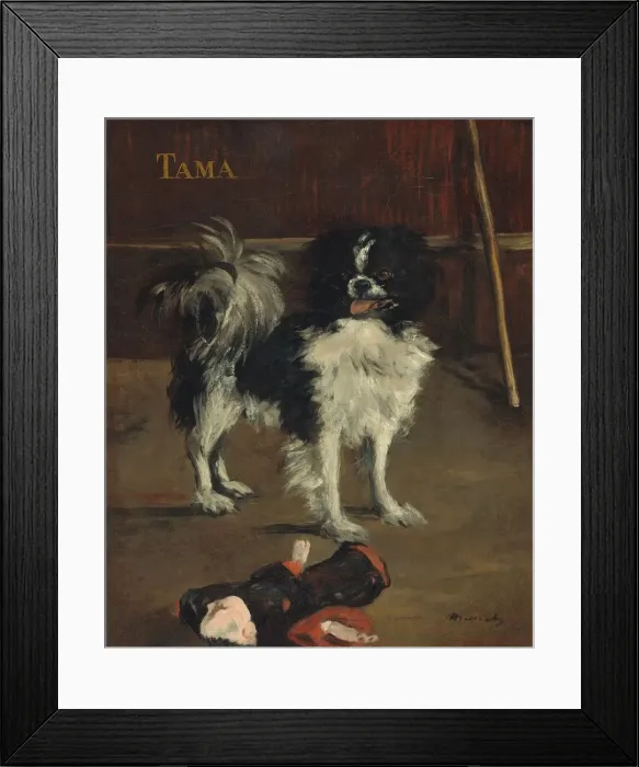 Framed Print : Tama, the Japanese Dog, c. 1875. Creator: Edouard Manet Framed Print : Tama, the Japanese Dog, c. 1875. Creator: Edouard Manet
