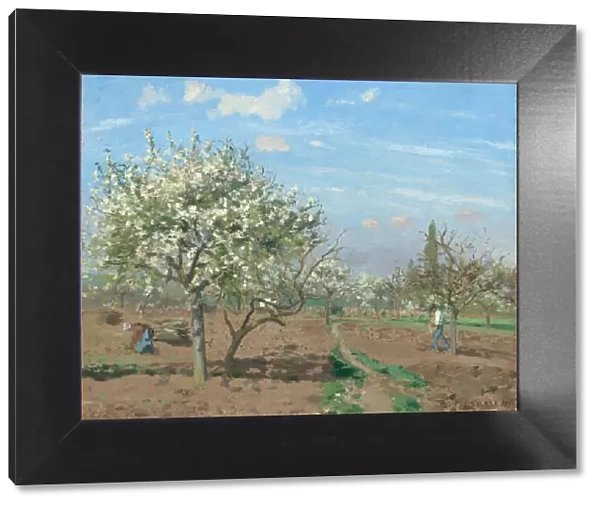 Orchard in Bloom, Louveciennes, 1872. Creator: Camille Pissarro