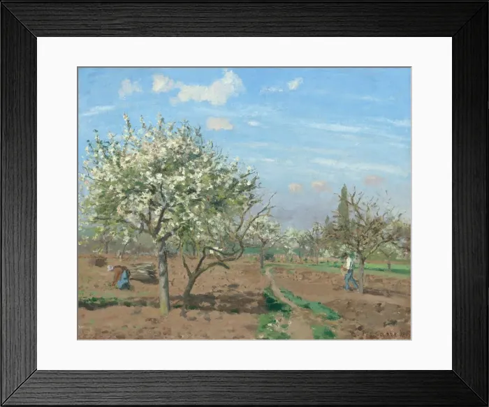 Framed Print : Orchard in Bloom, Louveciennes, 1872. Creator: Camille Pissarro Framed Print : Orchard in Bloom, Louveciennes, 1872. Creator: Camille Pissarro
