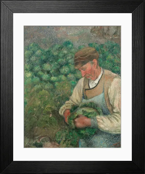 Framed Print : The Gardener - Old Peasant with Cabbage, 1883-1895. Creator: Camille Pissarro Framed Print : The Gardener - Old Peasant with Cabbage, 1883-1895. Creator: Camille Pissarro