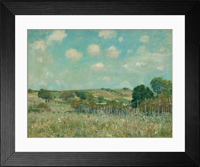 Framed Print : Meadow, 1875. Creator: Alfred Sisley Framed Print : Meadow, 1875. Creator: Alfred Sisley