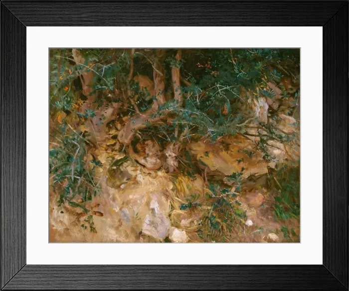 Framed Print : Valdemosa, Majorca: Thistles and Herbage on a Hillside, 1908 Framed Print : Valdemosa, Majorca: Thistles and Herbage on a Hillside, 1908