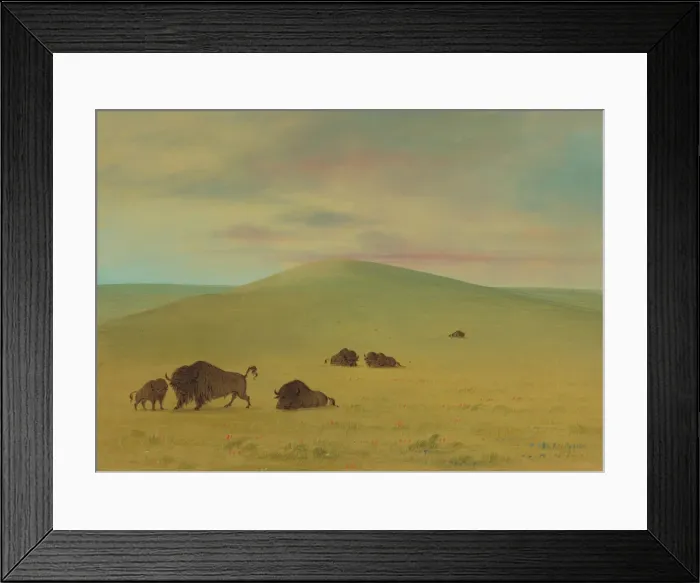 Framed Print : American Pasturage - Prairies of the Platte, 1861  /  1869. Creator: George Catlin