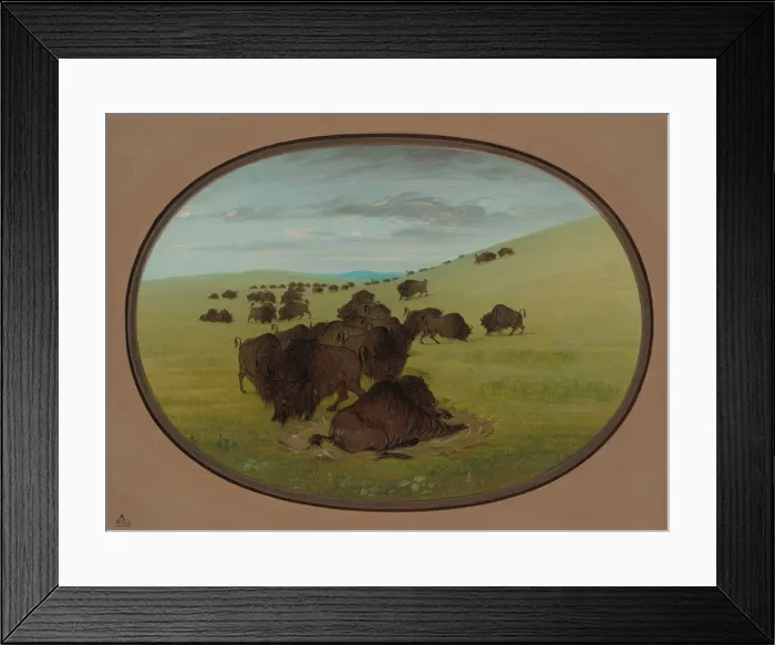 Framed Print : A Buffalo Wallow, 1861 / 1869. Creator: George Catlin Framed Print : A Buffalo Wallow, 1861 / 1869. Creator: George Catlin