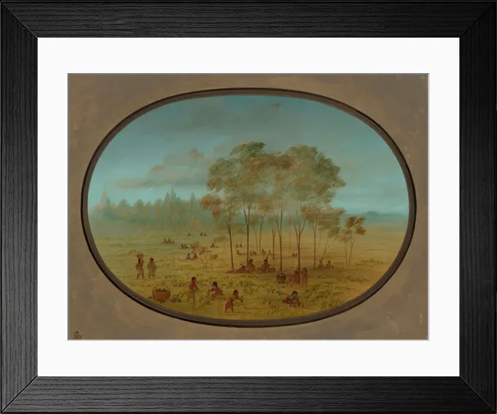 Framed Print : Kiowa Indians Gathering Wild Grapes, 1861 / 1869. Creator: George Catlin Framed Print : Kiowa Indians Gathering Wild Grapes, 1861 / 1869. Creator: George Catlin
