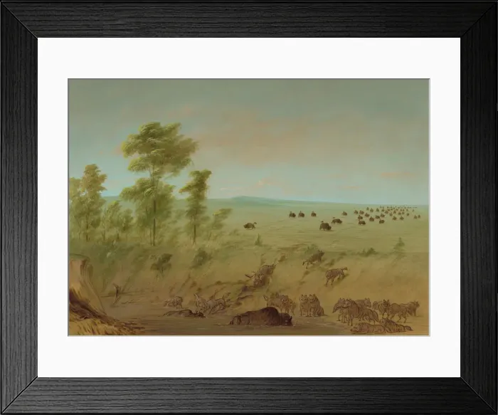 Framed Print : Mired Buffalo and Wolves, 1861 / 1869. Creator: George Catlin Framed Print : Mired Buffalo and Wolves, 1861 / 1869. Creator: George Catlin