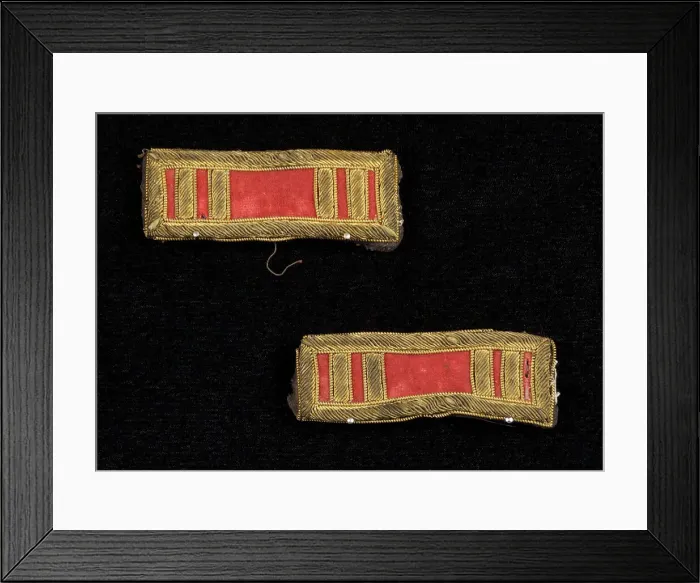Framed Print : Military epaulets, American, 1864. Creator: Unknown Framed Print : Military epaulets, American, 1864. Creator: Unknown