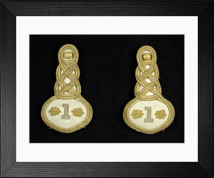 Framed Print : Epaulets, American, 1860-80. Creator: Unknown Framed Print : Epaulets, American, 1860-80. Creator: Unknown