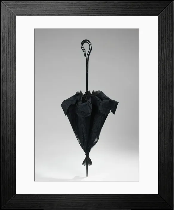 Framed Print : Parasol, American, 1880-89. Creator: Follmer, Clogg & Company Framed Print : Parasol, American, 1880-89. Creator: Follmer, Clogg & Company