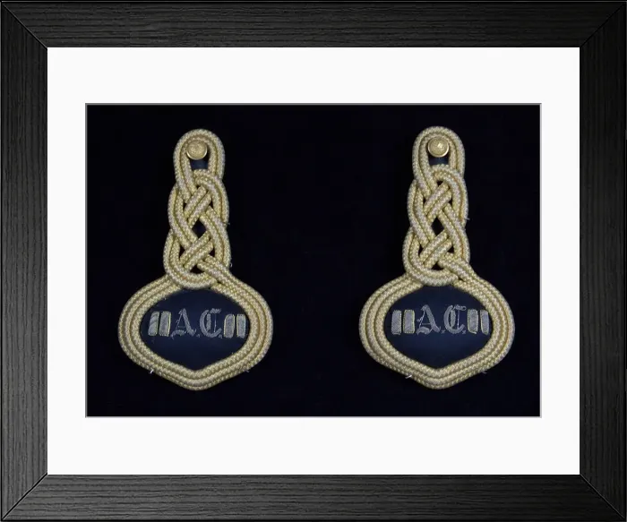 Framed Print : Military epaulets, American, 1875-80. Creator: Unknown Framed Print : Military epaulets, American, 1875-80. Creator: Unknown