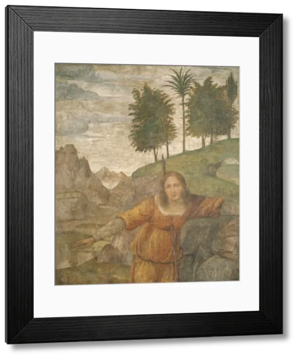 Framed Print : Procris Pierced by Cephalus Javelin, c. 1520 / 1522. Creator: Bernardino Luini Framed Print : Procris Pierced by Cephalus Javelin, c. 1520 / 1522. Creator: Bernardino Luini