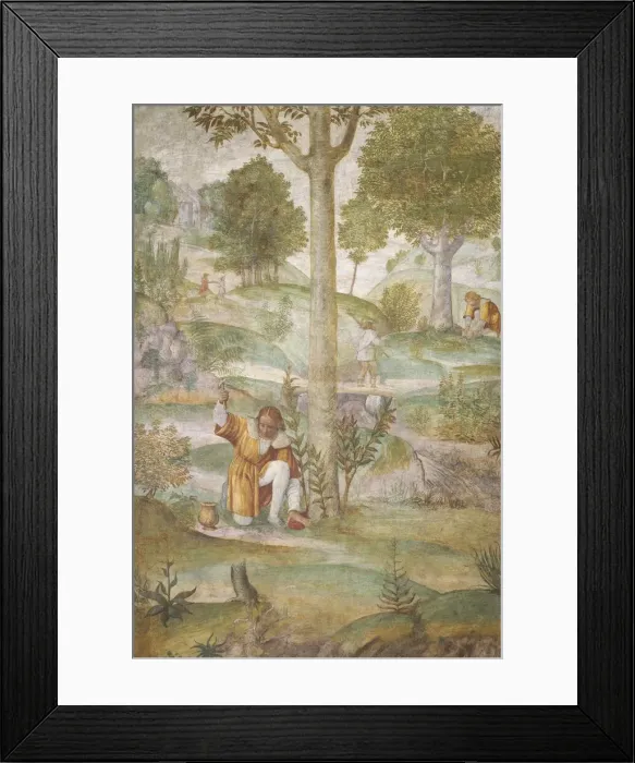 Framed Print : Cephalus Hiding the Jewels, c. 1520 / 1522. Creator: Bernardino Luini Framed Print : Cephalus Hiding the Jewels, c. 1520 / 1522. Creator: Bernardino Luini