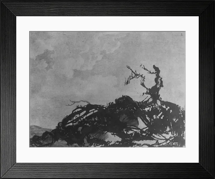 Framed Print : The Fallen Tree, ca. 1785. Creator: Alexander Cozens Framed Print : The Fallen Tree, ca. 1785. Creator: Alexander Cozens
