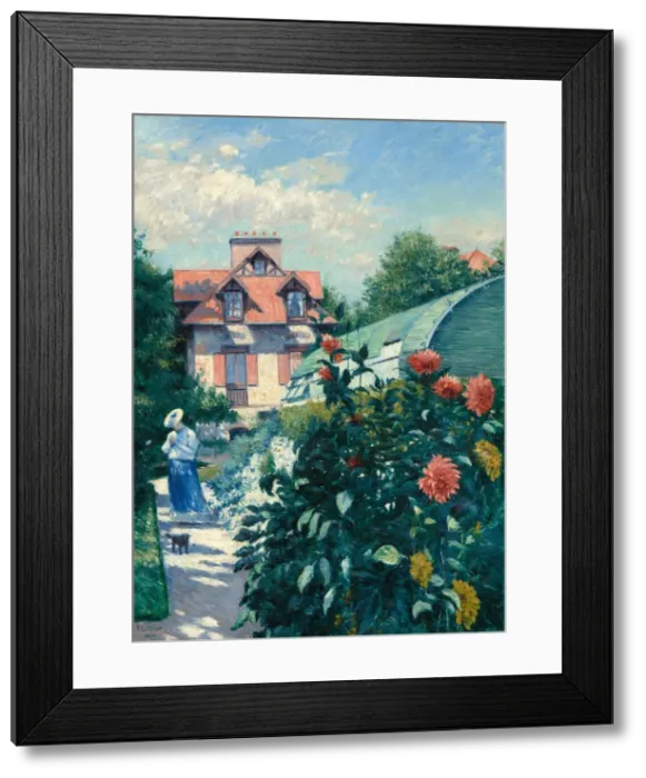 Framed Print : Dahlias, Garden at Petit Gennevilliers, 1893. Creator: Gustave Caillebotte Framed Print : Dahlias, Garden at Petit Gennevilliers, 1893. Creator: Gustave Caillebotte