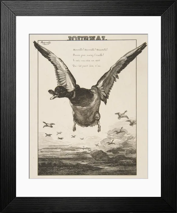 Framed Print : Le Canard, 1856. Creator: Felix Bracquemond Framed Print : Le Canard, 1856. Creator: Felix Bracquemond