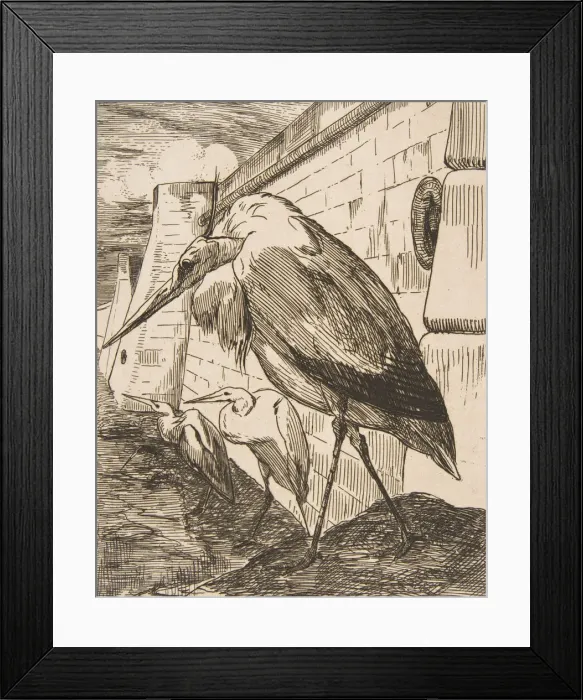 Framed Print : Les Cigognes, 1870s. 1870s. Creator: Felix Bracquemond Framed Print : Les Cigognes, 1870s. 1870s. Creator: Felix Bracquemond