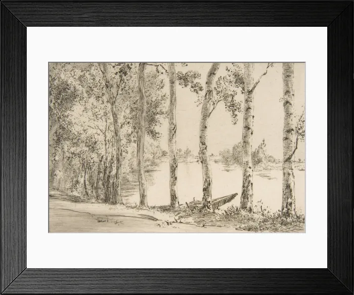 Framed Print : Trembles au bord de la Seine, ca. 1884. Creator: Felix Bracquemond Framed Print : Trembles au bord de la Seine, ca. 1884. Creator: Felix Bracquemond