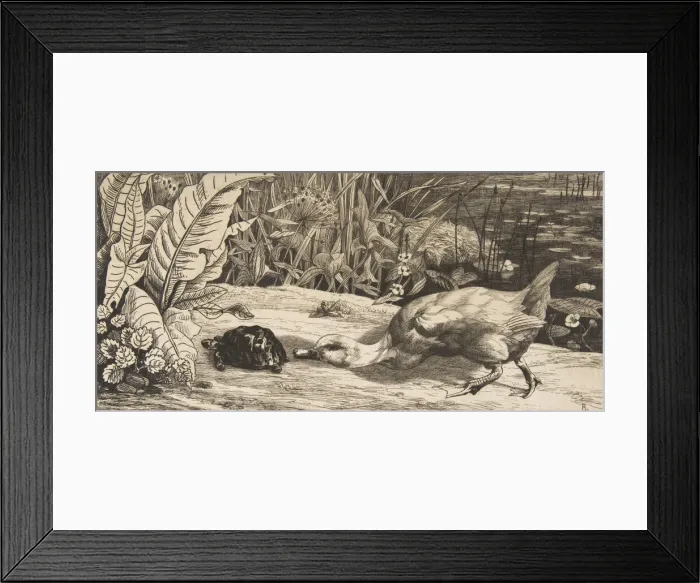 Framed Print : L Inconnu, 1862. Creator: Felix Bracquemond Framed Print : L Inconnu, 1862. Creator: Felix Bracquemond