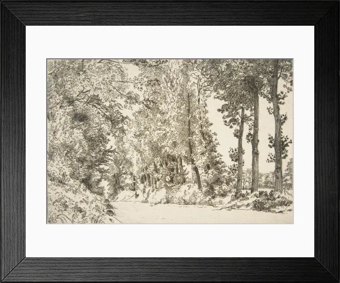 Framed Print : Rue des Bruyeres, aSevres, 1868. Creator: Felix Bracquemond Framed Print : Rue des Bruyeres, aSevres, 1868. Creator: Felix Bracquemond