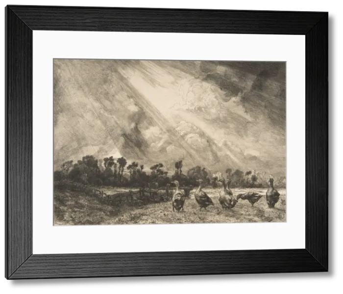 Framed Print : La Nuee d orage, 1882-84. Creator: Felix Bracquemond Framed Print : La Nuee d orage, 1882-84. Creator: Felix Bracquemond