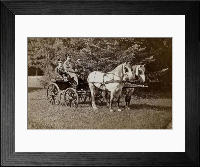 Framed Print : Emperor Alexander III (1845-1894) and Empress Maria Fyodorovna (1847-1928 Framed Print : Emperor Alexander III (1845-1894) and Empress Maria Fyodorovna (1847-1928
