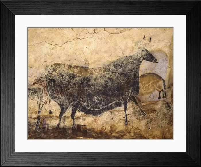 Framed Print : Black Cow. Caves painting of Lascaux, ca 16. 000-15. 000 BC Framed Print : Black Cow. Caves painting of Lascaux, ca 16. 000-15. 000 BC