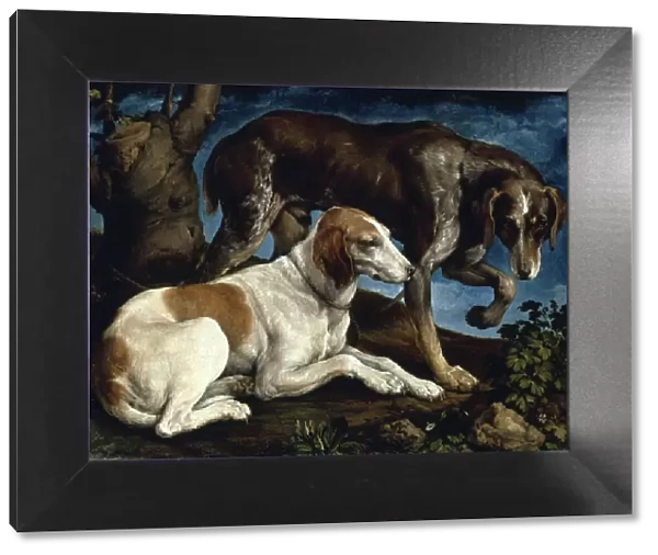 Two hunting dogs, 1548-1549. Creator: Bassano, Jacopo, il vecchio (ca. 1510-1592)