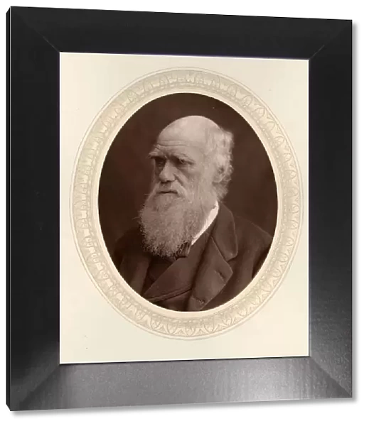 Portrait of Charles Darwin (1809-1882), 1877. Creator: Photo studio Lock &