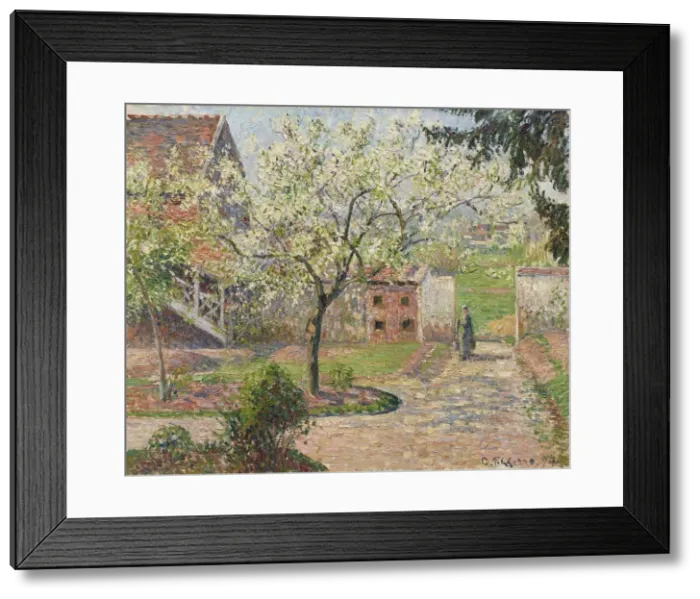 Framed Print : Plum Trees in Blossom, Eragny. The Painters Home, 1894 Framed Print : Plum Trees in Blossom, Eragny. The Painters Home, 1894