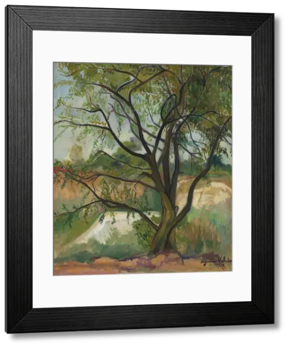 Framed Print : The Tree, 1912. Creator: Valadon, Suzanne (1865-1938) Framed Print : The Tree, 1912. Creator: Valadon, Suzanne (1865-1938)