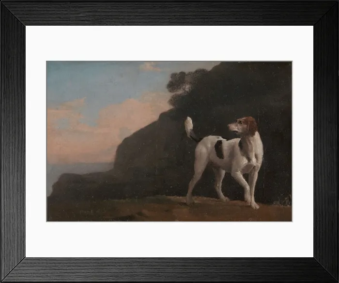 Framed Print : Foxhound; A Foxhound, ca. 1760. Creator: George Stubbs Framed Print : Foxhound; A Foxhound, ca. 1760. Creator: George Stubbs