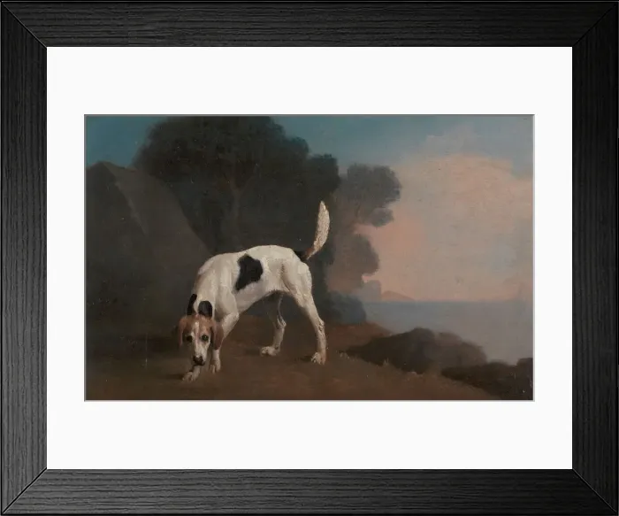Framed Print : Foxhound; Foxhound on the Scent, ca. 1760. Creator: George Stubbs Framed Print : Foxhound; Foxhound on the Scent, ca. 1760. Creator: George Stubbs