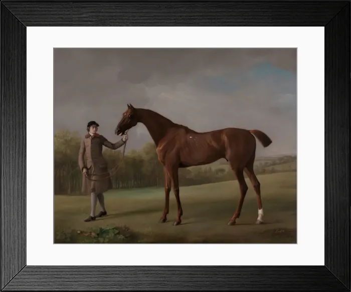 Framed Print : Lustre, held by a Groom, ca. 1762. Creator: George Stubbs Framed Print : Lustre, held by a Groom, ca. 1762. Creator: George Stubbs