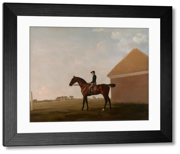 Framed Print : Turf, with Jockey up, at Newmarket, ca. 1766. Creator: George Stubbs Framed Print : Turf, with Jockey up, at Newmarket, ca. 1766. Creator: George Stubbs