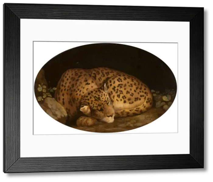 Framed Print : Sleeping Leopard, 1777. Creator: George Stubbs Framed Print : Sleeping Leopard, 1777. Creator: George Stubbs