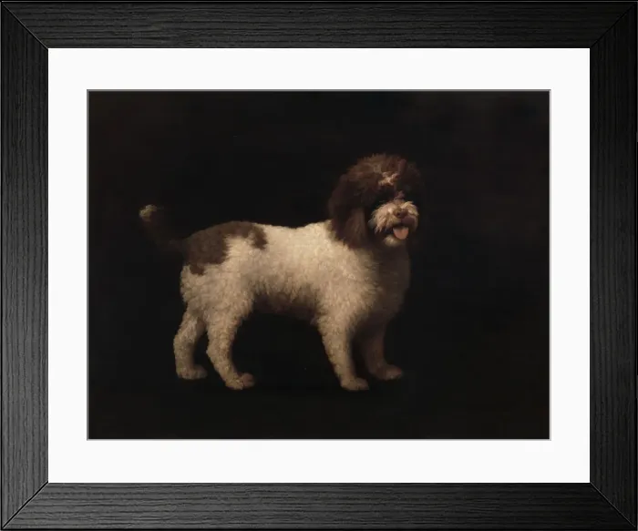 Framed Print : Water Spaniel, 1769. Creator: George Stubbs Framed Print : Water Spaniel, 1769. Creator: George Stubbs
