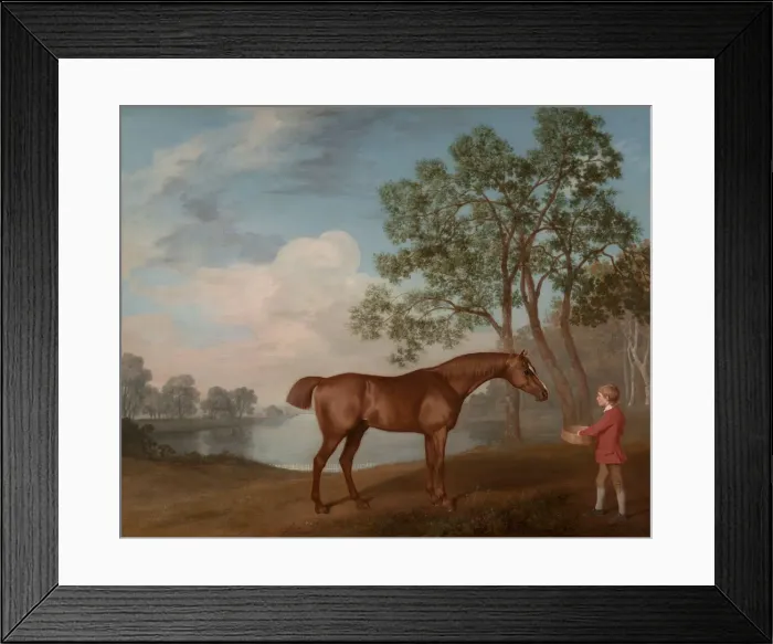Framed Print : Pumpkin with a Stable-lad, 1774. Creator: George Stubbs Framed Print : Pumpkin with a Stable-lad, 1774. Creator: George Stubbs