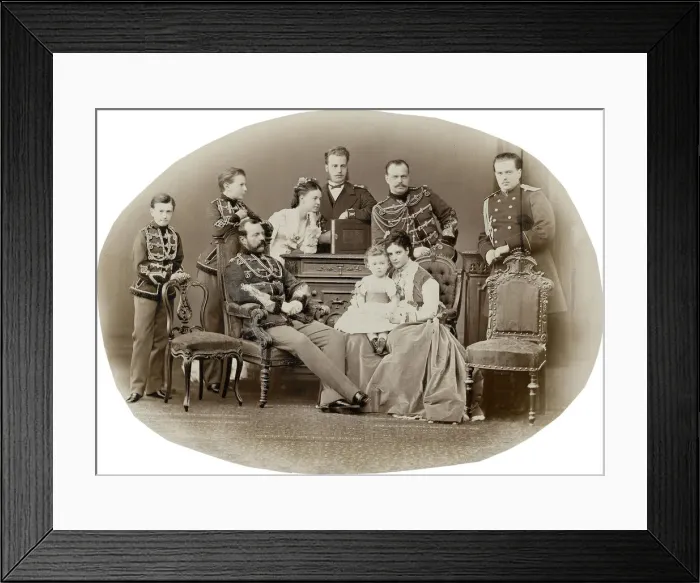 Framed Print : The Family of Emperor Alexander II of Russia, c. 1871. Creator: Levitsky Framed Print : The Family of Emperor Alexander II of Russia, c. 1871. Creator: Levitsky