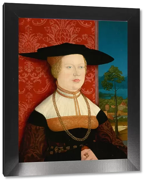 Margarethe Vohlin, 1527. Creator: Bernhard Strigel