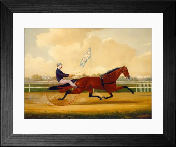 Framed Print : Budd Doble Driving Goldsmith Maid at Belmont Driving Park, 1876. Creator: Charles S Framed Print : Budd Doble Driving Goldsmith Maid at Belmont Driving Park, 1876. Creator: Charles S