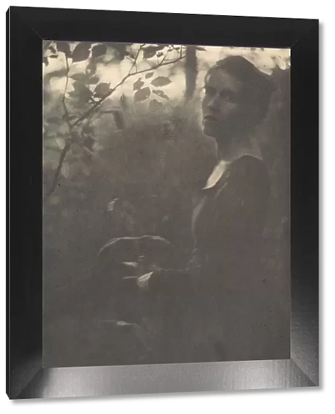 Edge of the Woods, Evening, 1900. Creator: Clarence H White