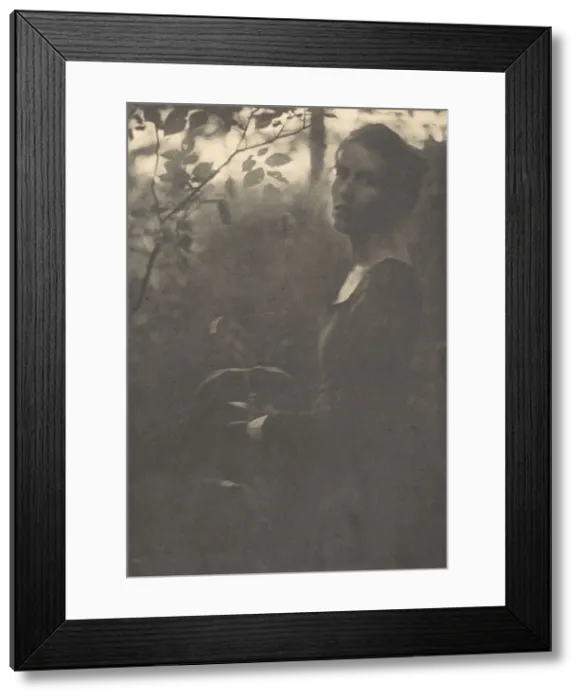 Framed Print : Edge of the Woods, Evening, 1900. Creator: Clarence H White Framed Print : Edge of the Woods, Evening, 1900. Creator: Clarence H White