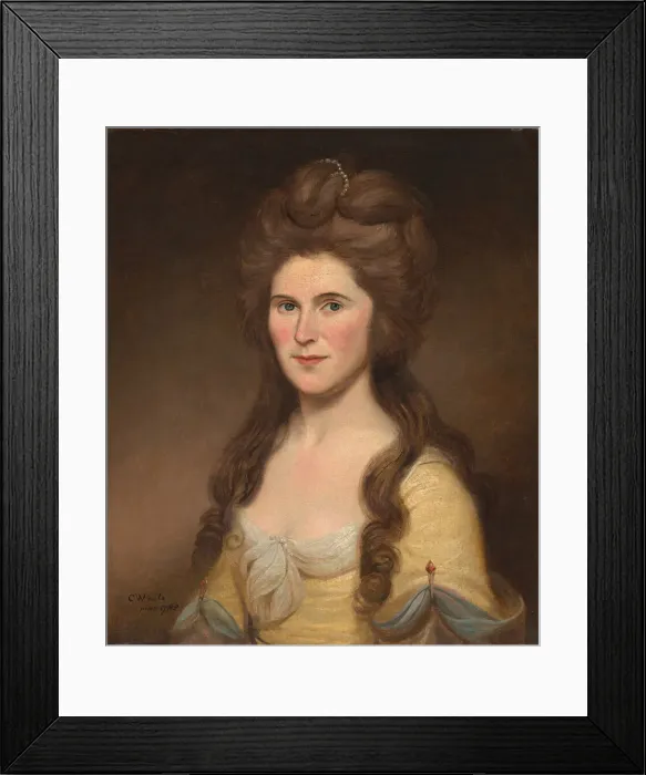 Framed Print : Rebecca Bryan White (Mrs. John White), 1788. Creator: Charles Willson Peale Framed Print : Rebecca Bryan White (Mrs. John White), 1788. Creator: Charles Willson Peale